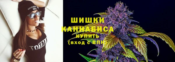 сатива Богданович