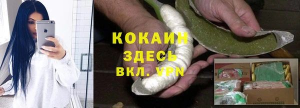 сатива Богданович