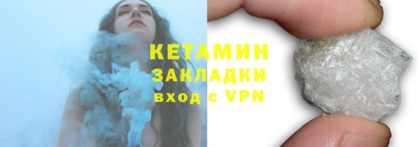 сатива Бородино