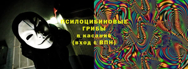молекула духа Вязьма