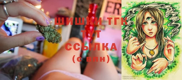 сатива Богданович