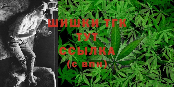 молекула духа Вязьма