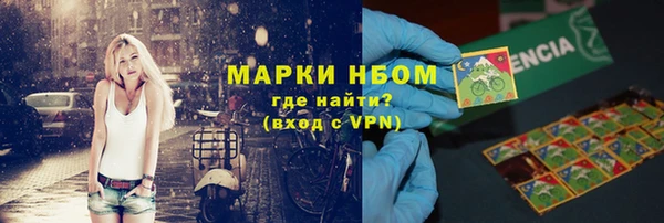 сатива Бородино