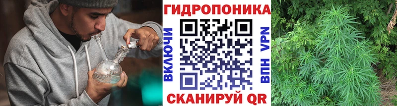 Шишки марихуана OG Kush  Миньяр 